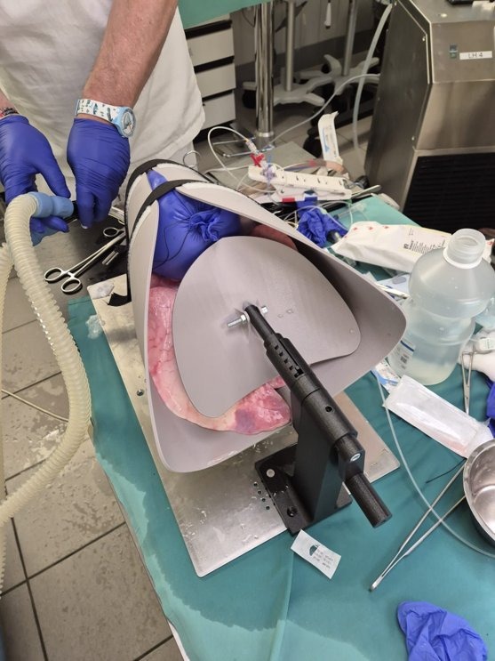 Active ex-vivo test with porcine lung